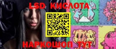 2c-b Кингисепп