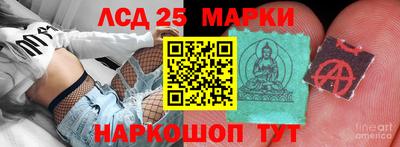 стаф Кимры