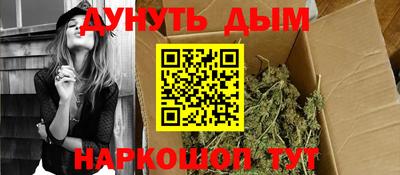 2c-b Кингисепп