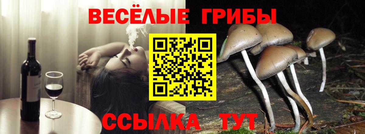 как найти закладки  Вход с VPN  Великие Луки  Галлюциногенные грибы мухоморы  Псилоцибиновые грибы GOLDEN TEACHER 